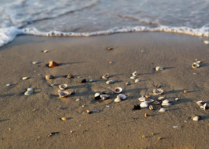 Coastal Seaside Calm With Balcony Bibione